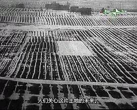 人间最关心封面图