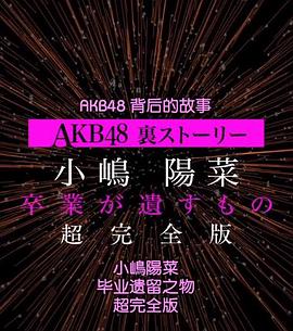 AKB48背后的故事特别篇 小嶋阳菜毕业遗留之物封面图