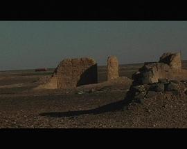 有关小鸟的片断封面图