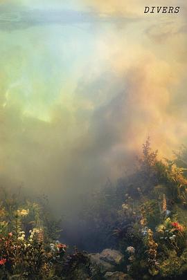 乔安娜·纽桑：潜水员封面图