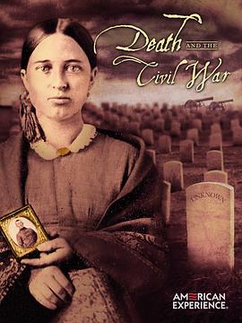 美国印象.南北战争之殇封面图