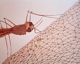 宇宙变焦封面图