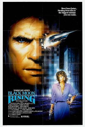 怒月冲天封面图