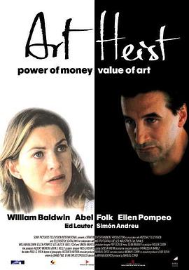 偷天盗影封面图