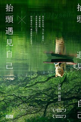 抬头遇见自己封面图