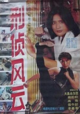 刑侦风云封面图