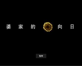 外婆家的向日葵封面图