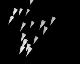 七号研究封面图