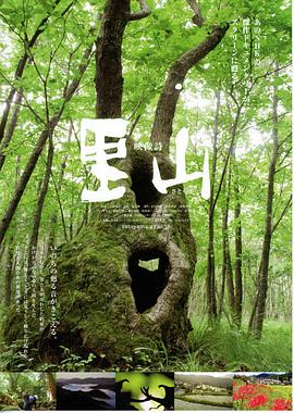 里山封面图