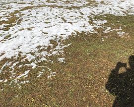 无言日记2018封面图