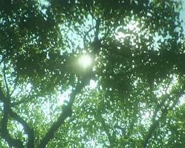 It&#39;s So Quiet封面图