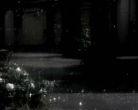 神秘影片试验计划#13 营火封面图