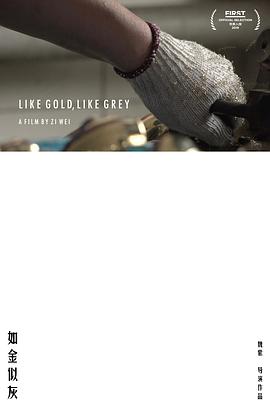 如金似灰封面图