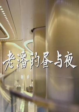 老潘的昼与夜封面图