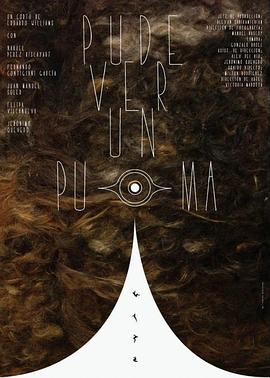 我看见了一只美洲狮封面图