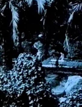 巴塞罗那-公园黄昏封面图