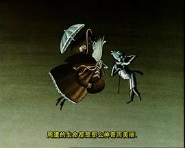 明智的白杨鱼封面图