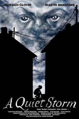 寂静风暴封面图