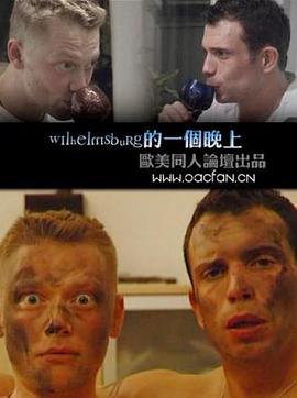 Wilhelmsburg的一个晚上封面图