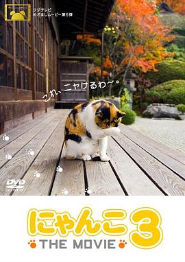猫咪物语3封面图