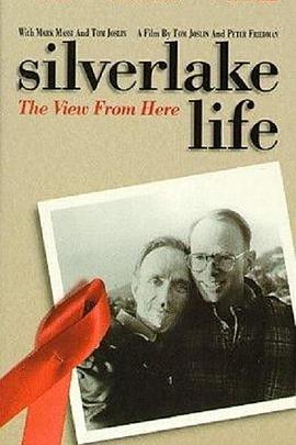 银色之恋封面图