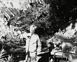 选择地球的男孩封面图