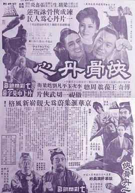 侠骨丹心封面图