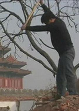 小子别太操蛋封面图