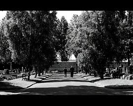 甜蜜的梦封面图