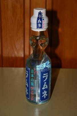 柠檬汽水的魔力封面图