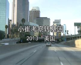 小崔考察转基因封面图