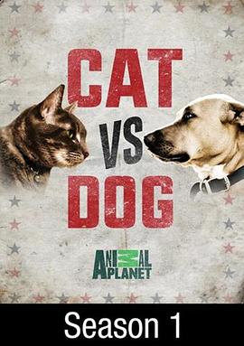 猫狗大战封面图