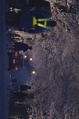 福岛夜之森 樱花隧道封面图