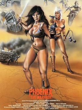 凤凰武士封面图