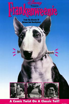 小科学怪人封面图