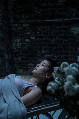 亚洲色彩之大师短片合作系列封面图