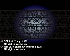 星星与花朵封面图