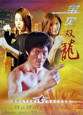 宝贝双龙封面图