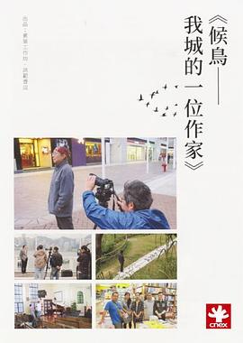 候鸟：我城的一位作家封面图