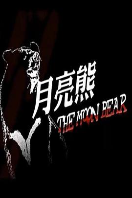 月亮熊封面图