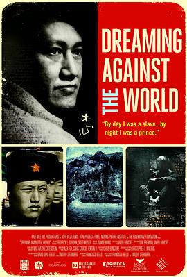 逆流寻梦封面图