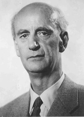 富特文格勒之爱封面图