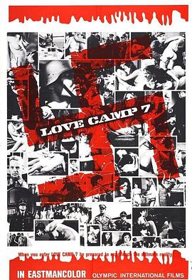 第七爱露营封面图