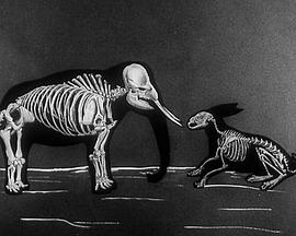 长度和速度的相似性封面图