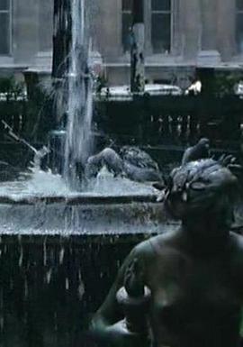 广场上的鸽子封面图