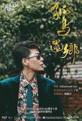 幸福选择题五部曲 - 孤鸟还乡封面图