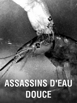 水中杀手封面图