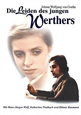 少年维特的烦恼封面图