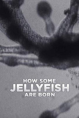 海蜇是如何诞生的封面图