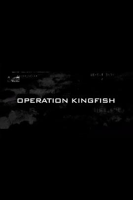 石首鱼行动封面图